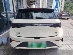 BYD Dolphin Smart Drive 420km Freedom Edition - ფოტო 6