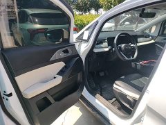 Geely Geometry E Firefly 301km Starlight - ფოტო 16