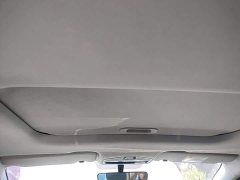 Geely Geometry E Firefly 301km Starlight - ფოტო 18