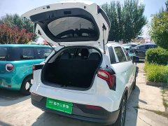 Geely Geometry E Firefly 301km Starlight - ფოტო 19