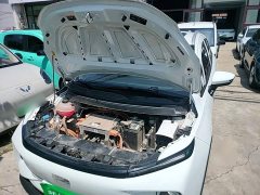 Geely Geometry E Firefly 301km Starlight - ფოტო 20