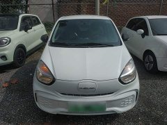 SAIC Corey Wei CLEVER 2021 302km Excellence Edition - ფოტო 3