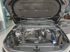 Volkswagen Magotan 2 Million Units Commemorative Edition 280TSI DSG Leading Type - ფოტო 20