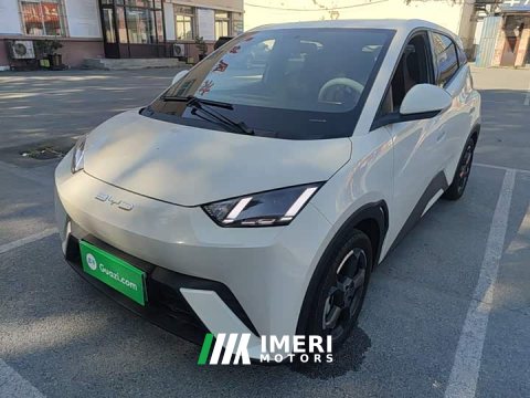 2023 BYD Seagull Flying Edition - ავტომობილი ჩინეთიდან