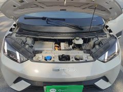 BYD Seagull Flying Edition - ფოტო 20