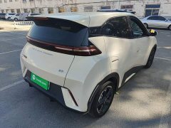 BYD Seagull Flying Edition - ფოტო 7