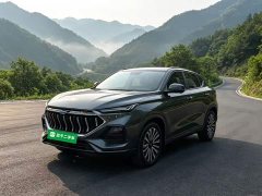 Changan Oushang X5 1.5T DCT Luxury - ფოტო 1