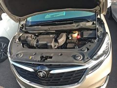 Buick GL8 ES Land Respect 653T Respect Enjoyment Edition - ფოტო 20