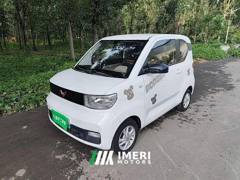 2021 Wuling Hongguang MINIEV Zizai Edition LFP Battery