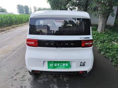 Wuling Hongguang MINIEV 2020 Zizai Edition LFP Battery - ფოტო 6