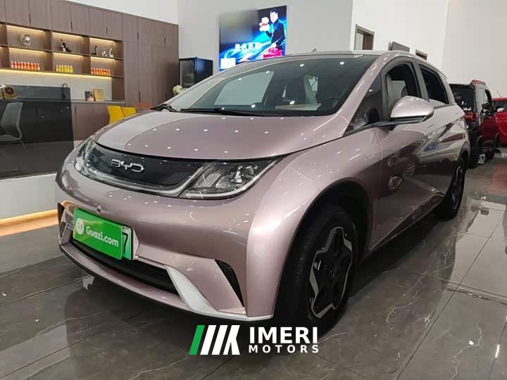 BYD Dolphin 405km Fashion Edition - ავტომობილი ჩინეთიდან
