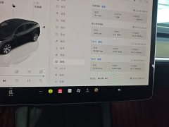 Tesla Model Y 2022 Facelift Rear-Wheel Drive - ფოტო 12