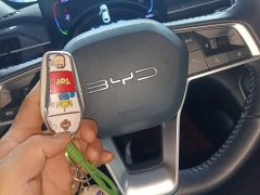 BYD Destroyer 05 Glory Edition DM-i 55KM Luxury - ფოტო 9
