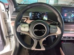 BYD Seagull Freedom Edition - ფოტო 11