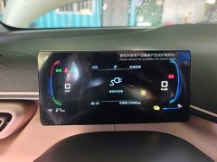 BYD Seagull Freedom Edition - ფოტო 12