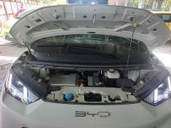 BYD Seagull Freedom Edition - ფოტო 20