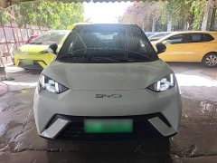 BYD Seagull Freedom Edition - ფოტო 3