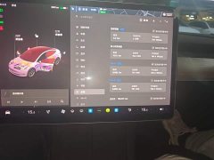 Tesla Model 3 Facelift Standard Range RWD Upgrade 3D1 - ფოტო 12