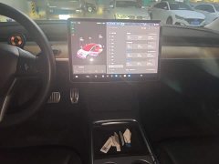 Tesla Model 3 Facelift Standard Range RWD Upgrade 3D1 - ფოტო 13