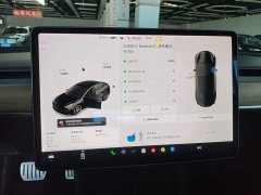 Tesla Model 3 Facelift Performance All-Wheel Drive 3D1 - ფოტო 12