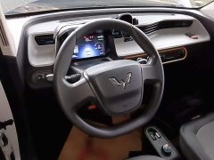 Wuling Hongguang MINIEV 2020 Zizai Edition LFP Battery - ფოტო 11