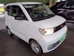 Wuling Hongguang MINIEV 2020 Zizai Edition LFP Battery - ფოტო 4