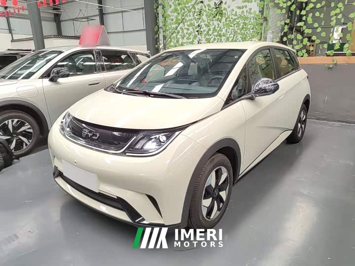 BYD Dolphin 2025 420km Freedom Edition - ავტომობილი ჩინეთიდან