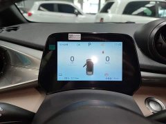 BYD Dolphin 2025 420km Freedom Edition - ფოტო 12