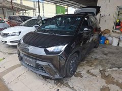 BYD Seagull Glory Edition 305km Freedom Version - ფოტო 2