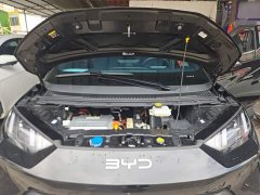 BYD Seagull Glory Edition 305km Freedom Version - ფოტო 20