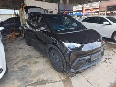 BYD Seagull Glory Edition 305km Freedom Version - ფოტო 4