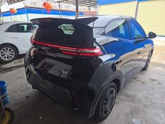 BYD Seagull Glory Edition 305km Freedom Version - ფოტო 7