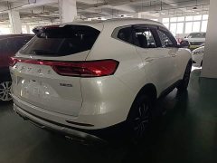 Haval H6 National Trend Edition 1.5T Automatic Urban Version - ფოტო 7