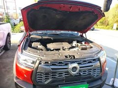 Volkswagen Cannon 2020 2.0T Off-road Auto Gasoline 4WD Advanced GW4C20B - ფოტო 20