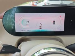 Ora Ballet Cat 2023 401km Deluxe - ფოტო 12