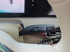 Ora Ballet Cat 2023 401km Deluxe - ფოტო 14