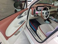 Ora Ballet Cat 2023 401km Deluxe - ფოტო 16