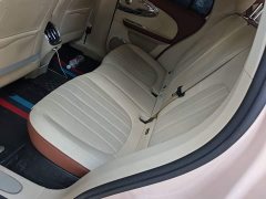 Ora Ballet Cat 2023 401km Deluxe - ფოტო 17