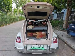 Ora Ballet Cat 2023 401km Deluxe - ფოტო 19