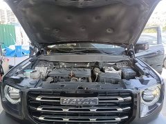 Great Wall Dachshund 2021 Facelift 1.5T DCT Two-Wheel Drive Malinois Edition - ფოტო 20
