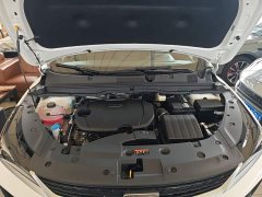 Geely Bingyue L 1.5TD DCT Star Shine - ფოტო 20