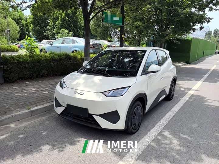 BYD Seagull 2025 Smart Drive 305km Vitality Edition - ავტომობილი ჩინეთიდან
