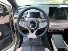 BYD Seagull 2025 Smart Drive 305km Vitality Edition - ფოტო 11