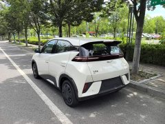 BYD Seagull 2025 Smart Drive 305km Vitality Edition - ფოტო 5