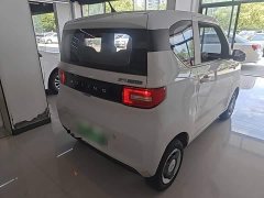 Wuling Hongguang MINIEV 2022 Easy Edition LFP Battery - ფოტო 7