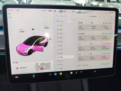 Tesla Model 3 Standard Range RWD Upgrade - ფოტო 12