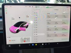 Tesla Model 3 Standard Range RWD Upgrade - ფოტო 13