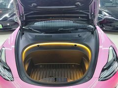 Tesla Model 3 Standard Range RWD Upgrade - ფოტო 20