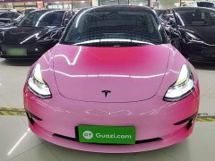 Tesla Model 3 Standard Range RWD Upgrade - ფოტო 3