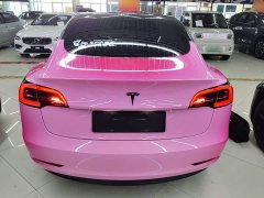 Tesla Model 3 Standard Range RWD Upgrade - ფოტო 6